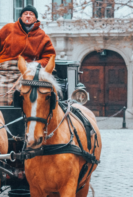 Geheimes Wien – eine Behind the Scenes-Tour durch Wien mit Secret Vienna