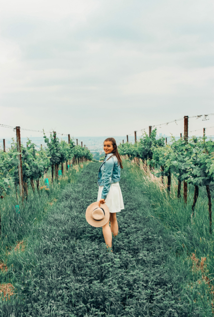 Wien von oben – Tipps zum Fotografieren in Wien