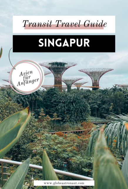 Singapur Transit Guide: Umsteigen & Singapur in 12 Stunden entdecken